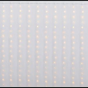 10ft of curtain leds!